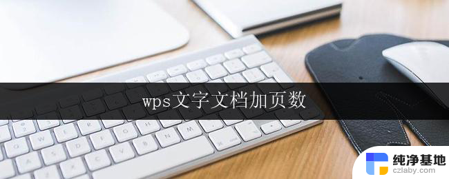 wps文字文档加页数