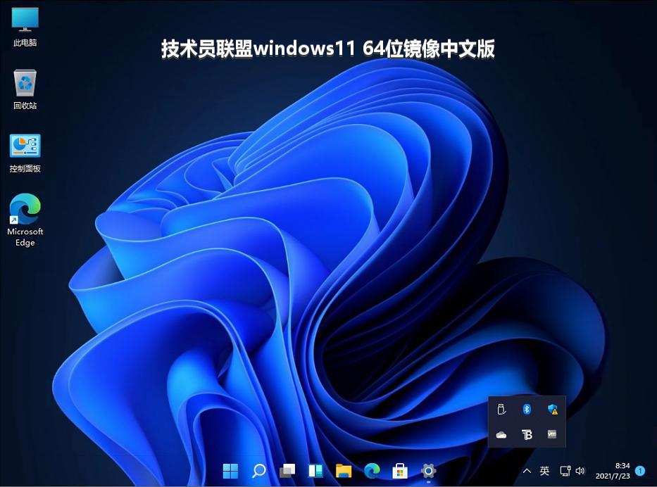 技术员联盟windows11 64位镜像中文版