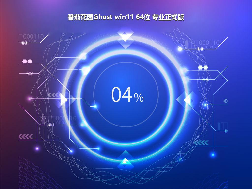 番茄花园Ghost win11 64位 专业正式版