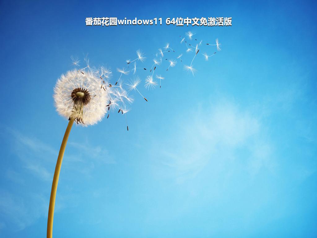 番茄花园windows11 64位中文免激活版