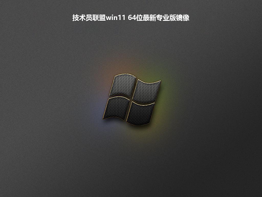 技术员联盟win11 64位最新专业版镜像