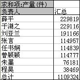 wps数据透视表 序列